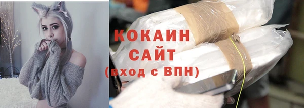 соль ск Алексин