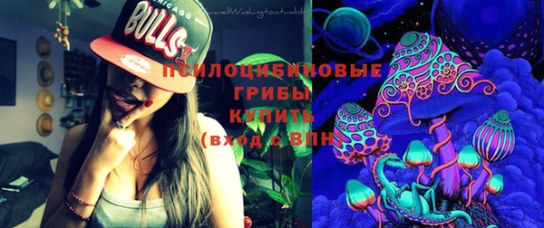дмт Алексеевка