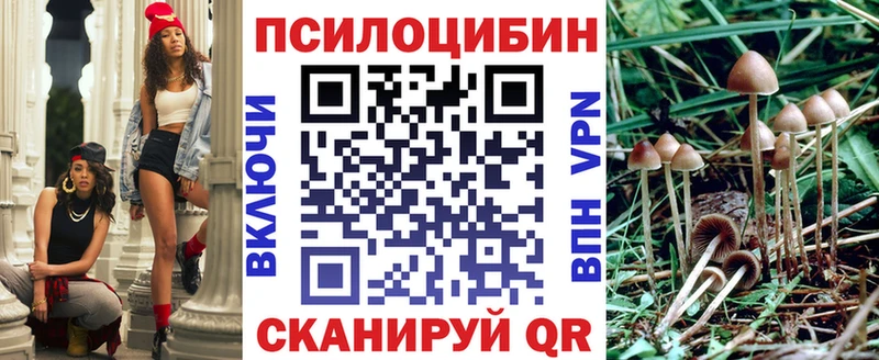 кракен   как найти наркотики  Ахтубинск  Галлюциногенные грибы MAGIC MUSHROOMS 